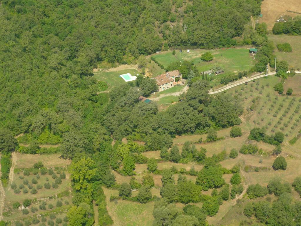 All'Antico Silbule Capolona ภายนอก รูปภาพ